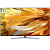 Телевизор LG 65QNED916PA