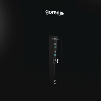 Холодильник Gorenje R619EABK6