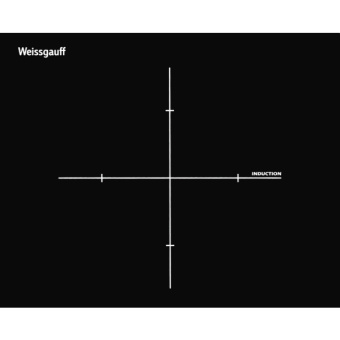 Варочная панель Weissgauff HI 32