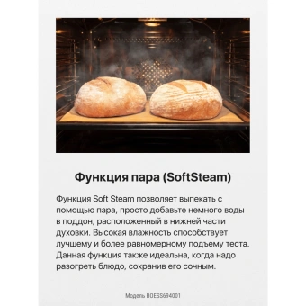 Духовой шкаф Hansa BakingPro BOESS694001