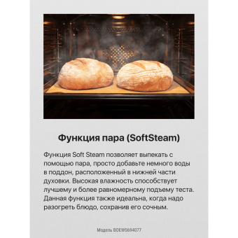 Духовой шкаф Hansa BakingPro BOEWS694077