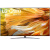 Телевизор LG 65QNED916PA
