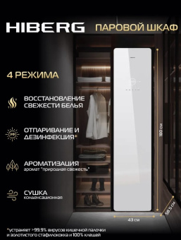 Паровой шкаф Hiberg SD 4GW