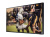 Телевизор Samsung QE55LST7TAUXRU