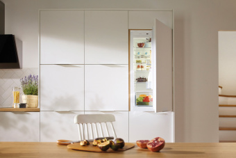 Встраиваемый холодильник Gorenje NRKI 2181 E1