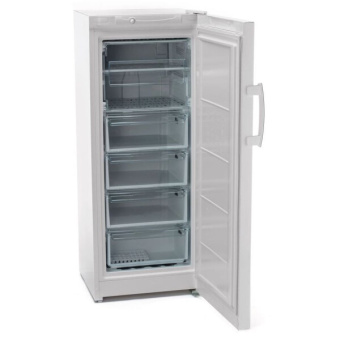 Морозильная камера Indesit DSZ4150.1