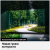 Телевизор Samsung QE55QN90BAUXCE