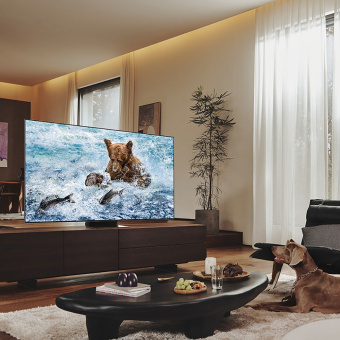 Телевизор Samsung QE55QN700BU