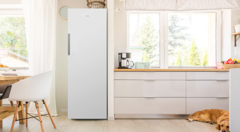Морозильная камера Beko FNKR5290T21W
